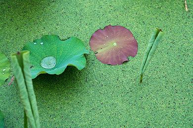 动视宣布 将于下周提供《使命召唤：黑色行动6》的7天免费试玩